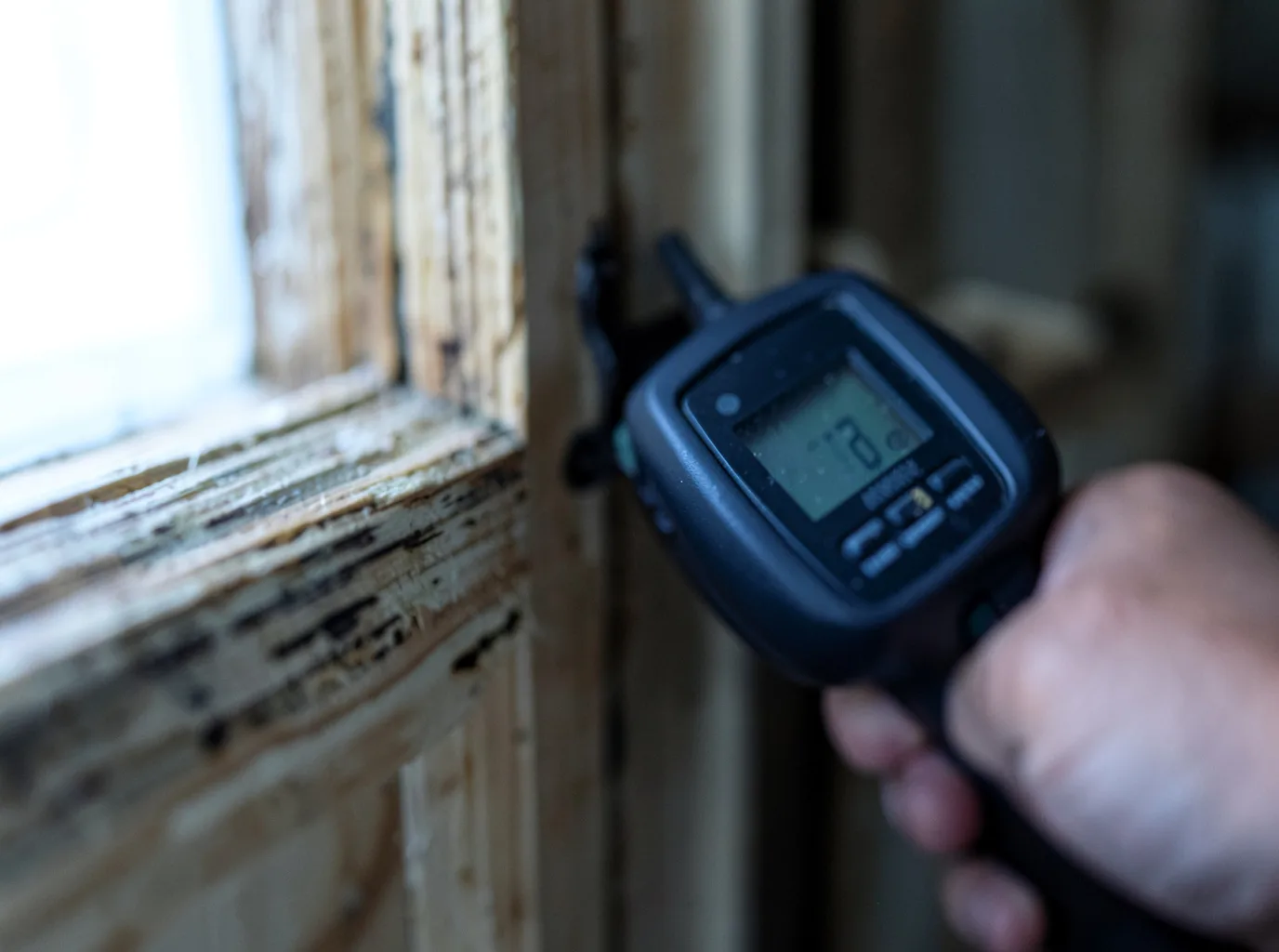 Moisture Inspection And Documentation in Swan Lake, NY